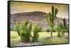 ¡Viva Mexico! Collection - Saguaro Cactus and Mexican Ruins at Sunset-Philippe Hugonnard-Framed Stretched Canvas