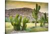 ¡Viva Mexico! Collection - Saguaro Cactus and Mexican Ruins at Sunset-Philippe Hugonnard-Stretched Canvas