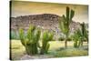 ¡Viva Mexico! Collection - Saguaro Cactus and Mexican Ruins at Sunset-Philippe Hugonnard-Stretched Canvas