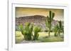 ¡Viva Mexico! Collection - Saguaro Cactus and Mexican Ruins at Sunset-Philippe Hugonnard-Framed Photographic Print