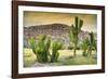 ¡Viva Mexico! Collection - Saguaro Cactus and Mexican Ruins at Sunset-Philippe Hugonnard-Framed Photographic Print