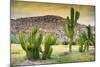 ¡Viva Mexico! Collection - Saguaro Cactus and Mexican Ruins at Sunset-Philippe Hugonnard-Mounted Photographic Print