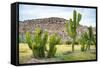 ¡Viva Mexico! Collection - Saguaro Cactus and Mexican Ruins-Philippe Hugonnard-Framed Stretched Canvas