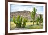 ¡Viva Mexico! Collection - Saguaro Cactus and Mexican Ruins-Philippe Hugonnard-Framed Photographic Print