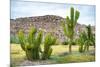 ¡Viva Mexico! Collection - Saguaro Cactus and Mexican Ruins-Philippe Hugonnard-Mounted Photographic Print