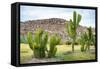 ¡Viva Mexico! Collection - Saguaro Cactus and Mexican Ruins-Philippe Hugonnard-Framed Stretched Canvas