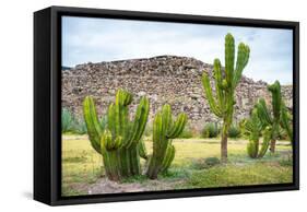 ¡Viva Mexico! Collection - Saguaro Cactus and Mexican Ruins-Philippe Hugonnard-Framed Stretched Canvas