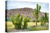 ¡Viva Mexico! Collection - Saguaro Cactus and Mexican Ruins-Philippe Hugonnard-Stretched Canvas
