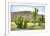 ¡Viva Mexico! Collection - Saguaro Cactus and Mexican Ruins-Philippe Hugonnard-Framed Photographic Print