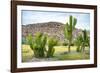 ¡Viva Mexico! Collection - Saguaro Cactus and Mexican Ruins-Philippe Hugonnard-Framed Photographic Print