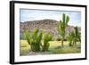 ¡Viva Mexico! Collection - Saguaro Cactus and Mexican Ruins-Philippe Hugonnard-Framed Photographic Print