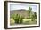 ¡Viva Mexico! Collection - Saguaro Cactus and Mexican Ruins-Philippe Hugonnard-Framed Photographic Print