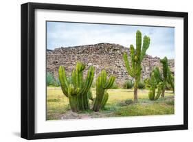 ¡Viva Mexico! Collection - Saguaro Cactus and Mexican Ruins-Philippe Hugonnard-Framed Photographic Print