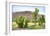 ¡Viva Mexico! Collection - Saguaro Cactus and Mexican Ruins-Philippe Hugonnard-Framed Photographic Print