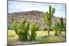 ¡Viva Mexico! Collection - Saguaro Cactus and Mexican Ruins-Philippe Hugonnard-Mounted Photographic Print