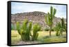 ¡Viva Mexico! Collection - Saguaro Cactus and Mexican Ruins-Philippe Hugonnard-Framed Stretched Canvas