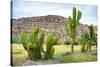 ¡Viva Mexico! Collection - Saguaro Cactus and Mexican Ruins-Philippe Hugonnard-Stretched Canvas