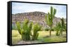 ¡Viva Mexico! Collection - Saguaro Cactus and Mexican Ruins-Philippe Hugonnard-Framed Stretched Canvas