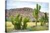 ¡Viva Mexico! Collection - Saguaro Cactus and Mexican Ruins-Philippe Hugonnard-Stretched Canvas