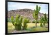 ¡Viva Mexico! Collection - Saguaro Cactus and Mexican Ruins-Philippe Hugonnard-Framed Photographic Print