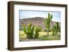 ¡Viva Mexico! Collection - Saguaro Cactus and Mexican Ruins-Philippe Hugonnard-Framed Photographic Print