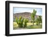 ¡Viva Mexico! Collection - Saguaro Cactus and Mexican Ruins-Philippe Hugonnard-Framed Photographic Print