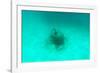 ¡Viva Mexico! Collection - Sculptures at bottom of sea in Cancun II-Philippe Hugonnard-Framed Photographic Print