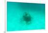 ¡Viva Mexico! Collection - Sculptures at bottom of sea in Cancun II-Philippe Hugonnard-Framed Photographic Print