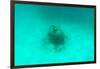 ¡Viva Mexico! Collection - Sculptures at bottom of sea in Cancun II-Philippe Hugonnard-Framed Photographic Print