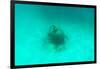 ¡Viva Mexico! Collection - Sculptures at bottom of sea in Cancun II-Philippe Hugonnard-Framed Photographic Print