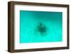 ¡Viva Mexico! Collection - Sculptures at bottom of sea in Cancun II-Philippe Hugonnard-Framed Photographic Print