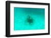 ¡Viva Mexico! Collection - Sculptures at bottom of sea in Cancun II-Philippe Hugonnard-Framed Photographic Print