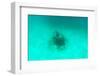 ¡Viva Mexico! Collection - Sculptures at bottom of sea in Cancun II-Philippe Hugonnard-Framed Photographic Print