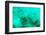 ¡Viva Mexico! Collection - Sculptures at bottom of sea in Cancun III-Philippe Hugonnard-Framed Photographic Print