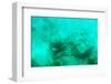 ¡Viva Mexico! Collection - Sculptures at bottom of sea in Cancun III-Philippe Hugonnard-Framed Photographic Print