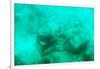 ¡Viva Mexico! Collection - Sculptures at bottom of sea in Cancun III-Philippe Hugonnard-Framed Photographic Print