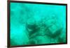 ¡Viva Mexico! Collection - Sculptures at bottom of sea in Cancun III-Philippe Hugonnard-Framed Photographic Print