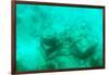 ¡Viva Mexico! Collection - Sculptures at bottom of sea in Cancun III-Philippe Hugonnard-Framed Photographic Print