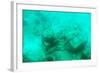 ¡Viva Mexico! Collection - Sculptures at bottom of sea in Cancun III-Philippe Hugonnard-Framed Photographic Print