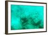 ¡Viva Mexico! Collection - Sculptures at bottom of sea in Cancun III-Philippe Hugonnard-Framed Photographic Print