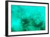 ¡Viva Mexico! Collection - Sculptures at bottom of sea in Cancun III-Philippe Hugonnard-Framed Photographic Print