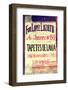 ¡Viva Mexico! Collection - "Tapetes de Lana" Mexican Sign-Philippe Hugonnard-Framed Photographic Print