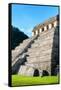 ¡Viva Mexico! Collection - Temple of Inscriptions at Mayan archaelogical site - Palenque-Philippe Hugonnard-Framed Stretched Canvas