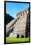 ¡Viva Mexico! Collection - Temple of Inscriptions at Mayan archaelogical site - Palenque-Philippe Hugonnard-Framed Photographic Print