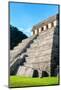 ¡Viva Mexico! Collection - Temple of Inscriptions at Mayan archaelogical site - Palenque-Philippe Hugonnard-Mounted Photographic Print