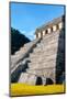 ¡Viva Mexico! Collection - Temple of Inscriptions at Mayan archaelogical site with Fall Colors-Philippe Hugonnard-Mounted Photographic Print