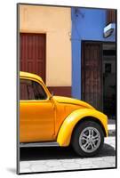 ¡Viva Mexico! Collection - The Dark Yellow Beetle-Philippe Hugonnard-Mounted Photographic Print