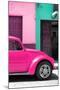 ¡Viva Mexico! Collection - The Deep Pink Beetle-Philippe Hugonnard-Mounted Photographic Print