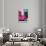 ¡Viva Mexico! Collection - The Deep Pink Beetle-Philippe Hugonnard-Photographic Print displayed on a wall