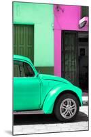 ¡Viva Mexico! Collection - The Green Beetle-Philippe Hugonnard-Mounted Premium Photographic Print